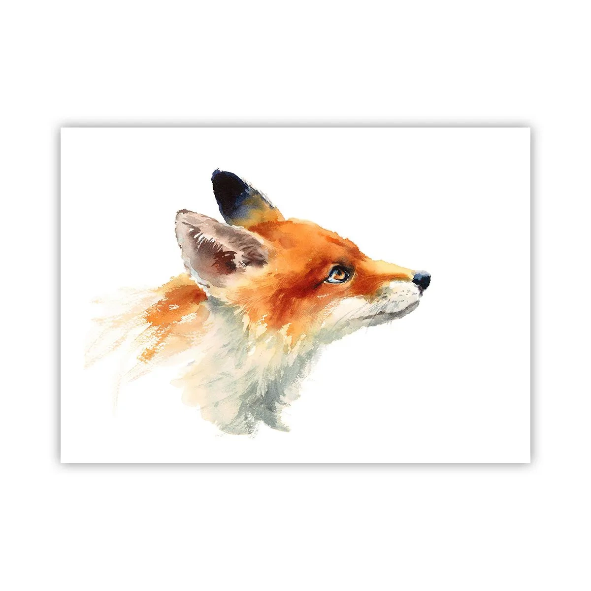 Poster - Man kann nie vorsichtig genug sein - 70x50 cm