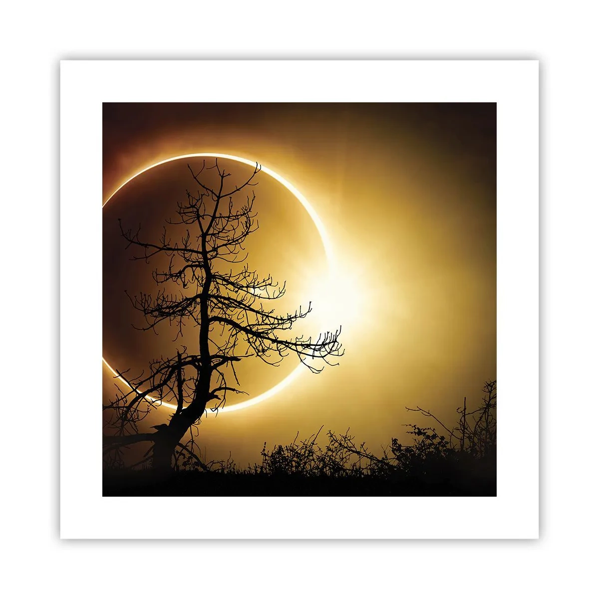 Poster - Totale Finsternis - 40x40 cm