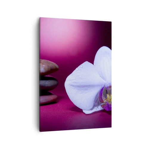 Bild auf Leinwand - Leinwandbild - Weiße Orchidee und Steine auf rosa Hintergrund - 50x70cm - Eine Studie der Frische in Lila - Moderne Wanddekoration für Wohnzimmer und Schlafzimmer ARTTOR
