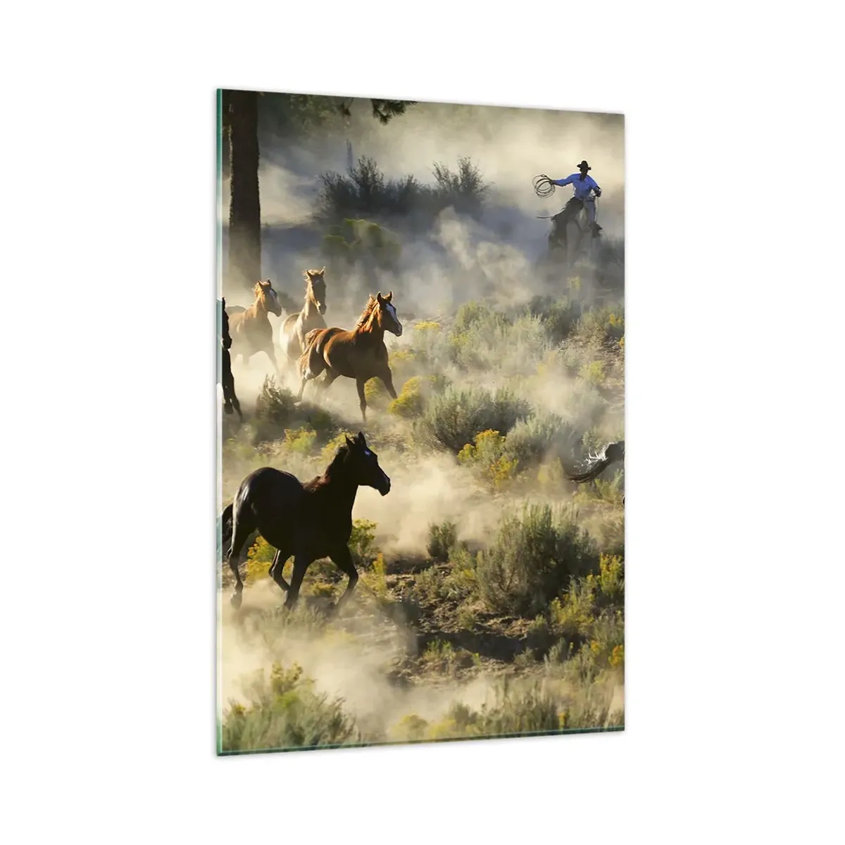 Glasbild - Bild auf glas - Eine Herde wilder Pferde galoppiert durch Staub und Vegetation - 80x120cm - Rivalität – Freiheit oder männliche Stärke? - Moderne Wanddekoration für Wohnzimmer und Schlafzimmer ARTTOR