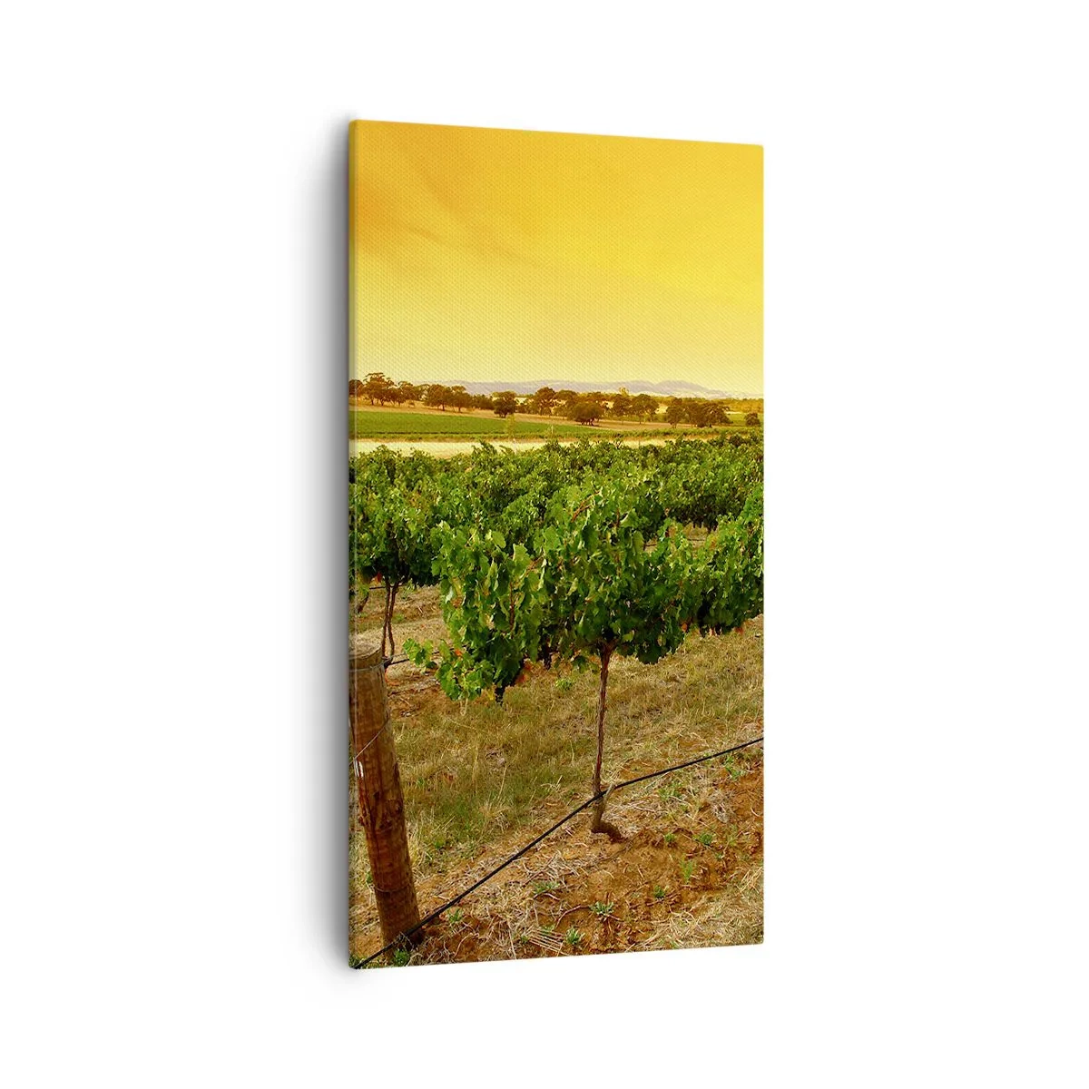 Bild auf Leinwand - Leinwandbild - Holen Sie sich einen Drink von der Sonne - 55x100 cm