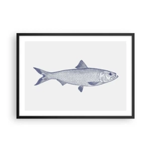Poster in einem schwarzem Rahmen - Illustration eines Fisches in Blautönen auf hellem Hintergrund - 70x50cm - Grüße aus den nördlichen Meeren - Moderne Wanddekoration für Wohnzimmer und Schlafzimmer ARTTOR