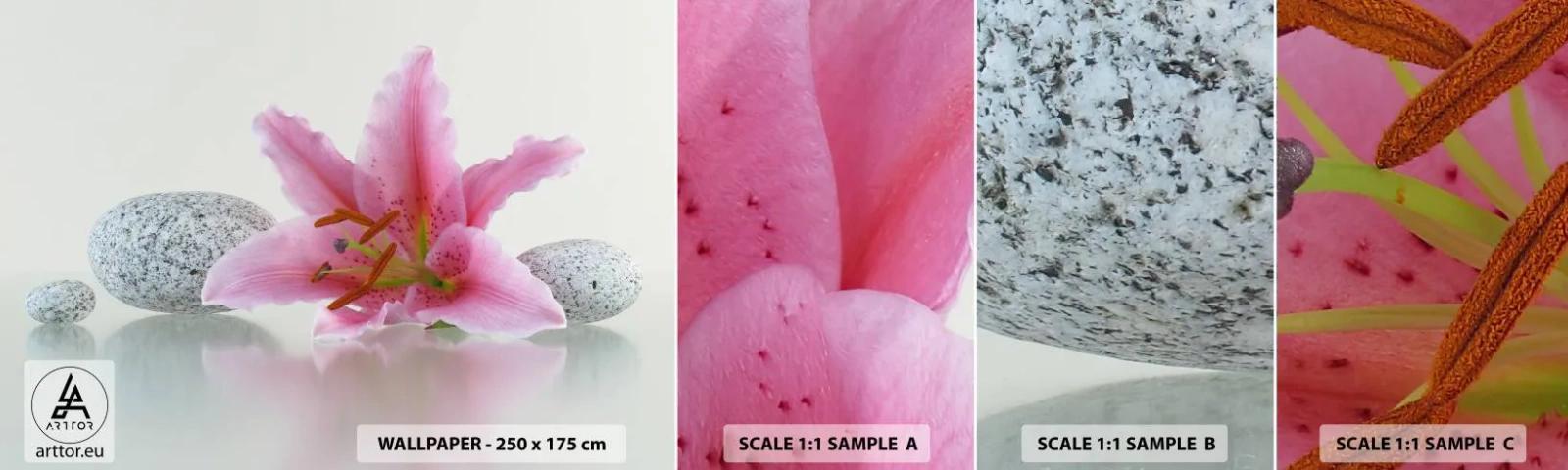 Fototapetenmuster Standard Eco - Eine Studie in Pink, Grau und Weiß - Blumen, Lilie, Steine - 100x30 cm