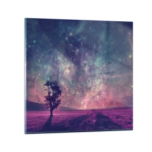 Glasbild - Bild auf glas - Unter dem magischen Himmel - 50x50 cm