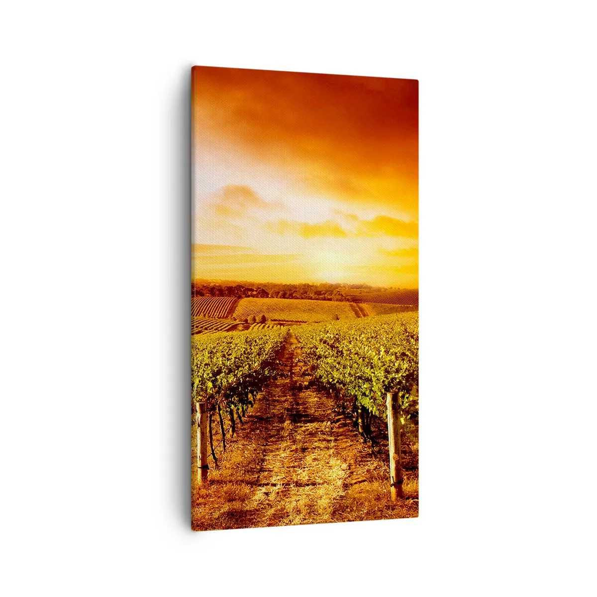 Bild auf Leinwand - Leinwandbild - Leicht fruchtig mit einem Hauch Sonnenschein - 55x100 cm