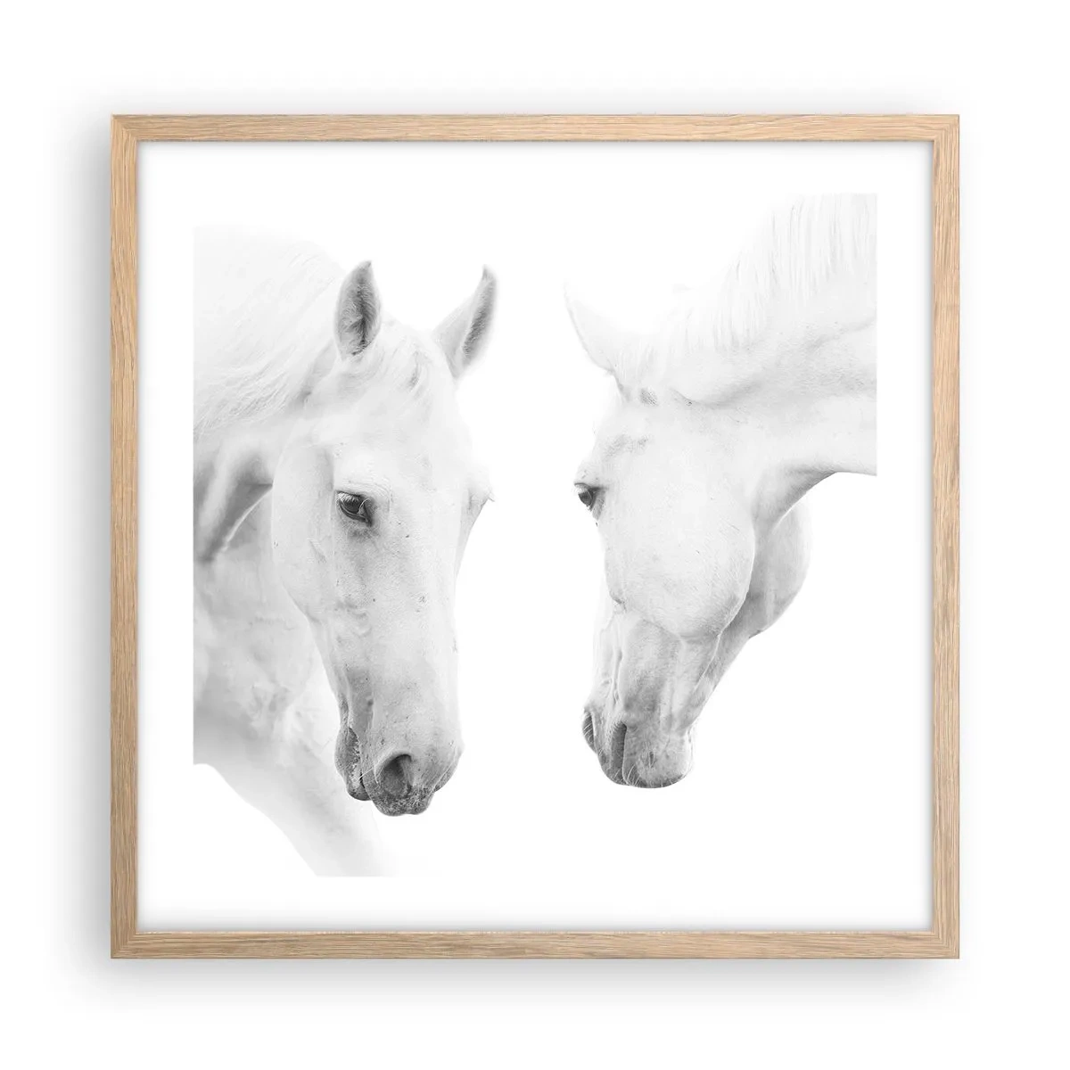 Poster in einem Rahmen aus heller Eiche - Ist das Freundschaft...? - 50x50 cm