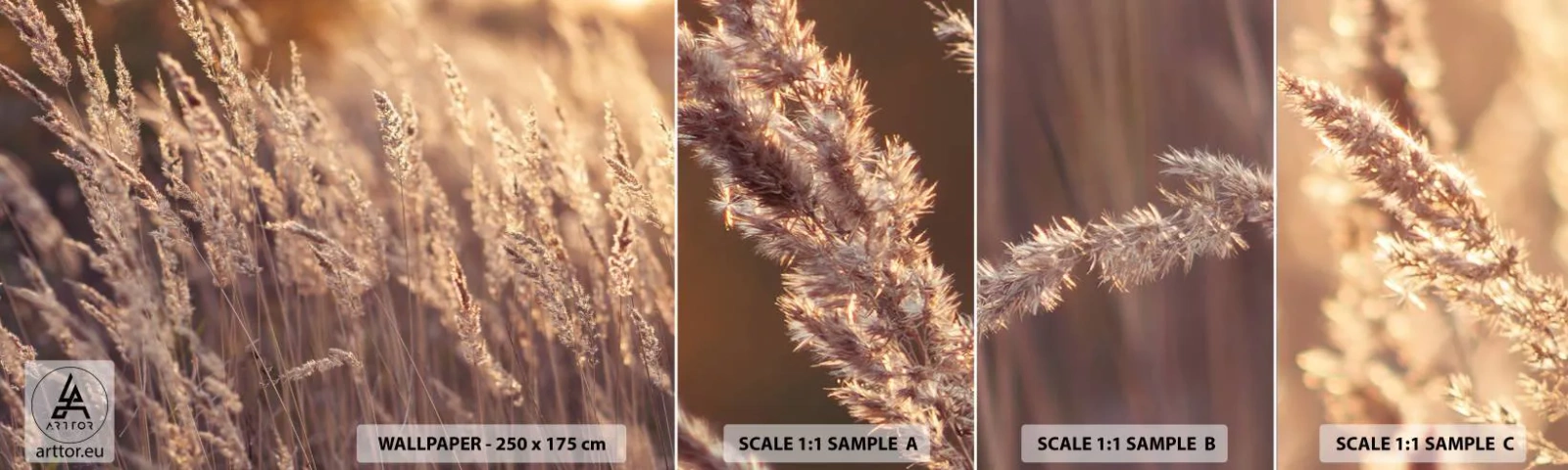 Fototapeten Muster Selbstklebend Deluxe Sticker - Bereit, den Herbst willkommen zu heißen - Landschaft, Ähren, Wiese - 100x30 cm