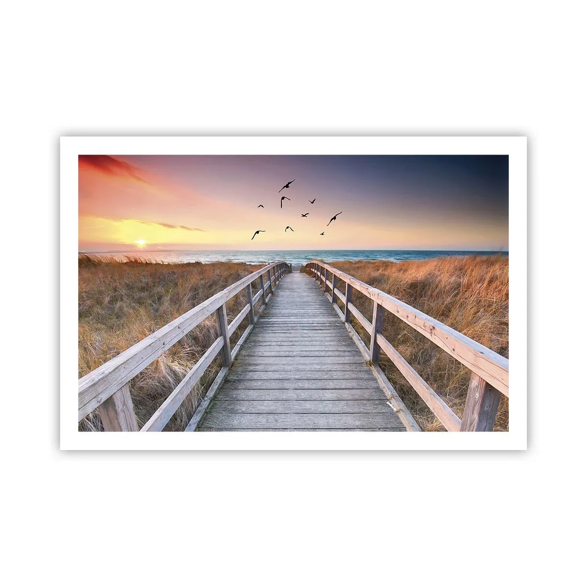 Poster - Der Raum für Auffliegen - 91x61 cm