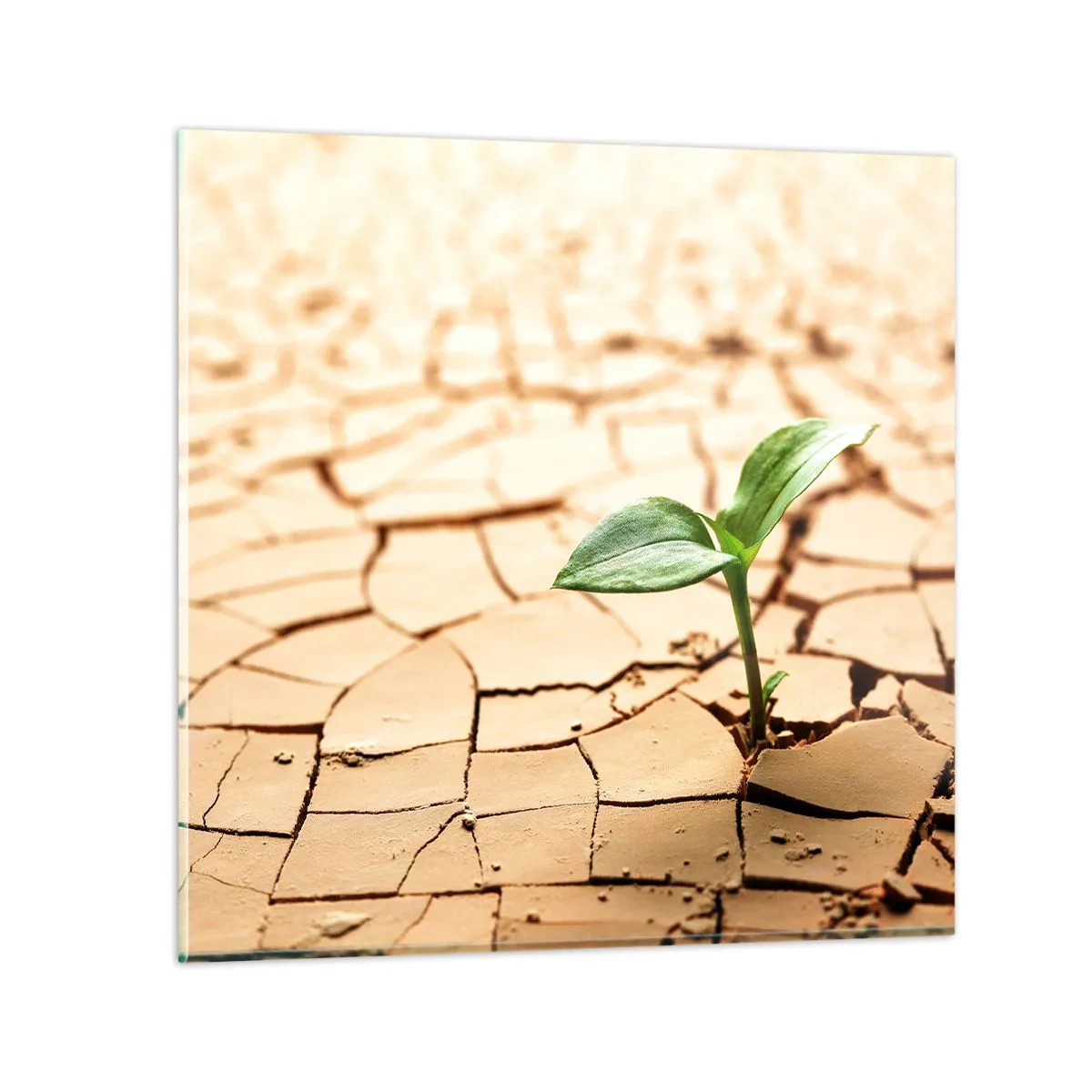 Glasbild - Bild auf glas - Die unbezähmbare Kraft des Lebens - 30x30 cm