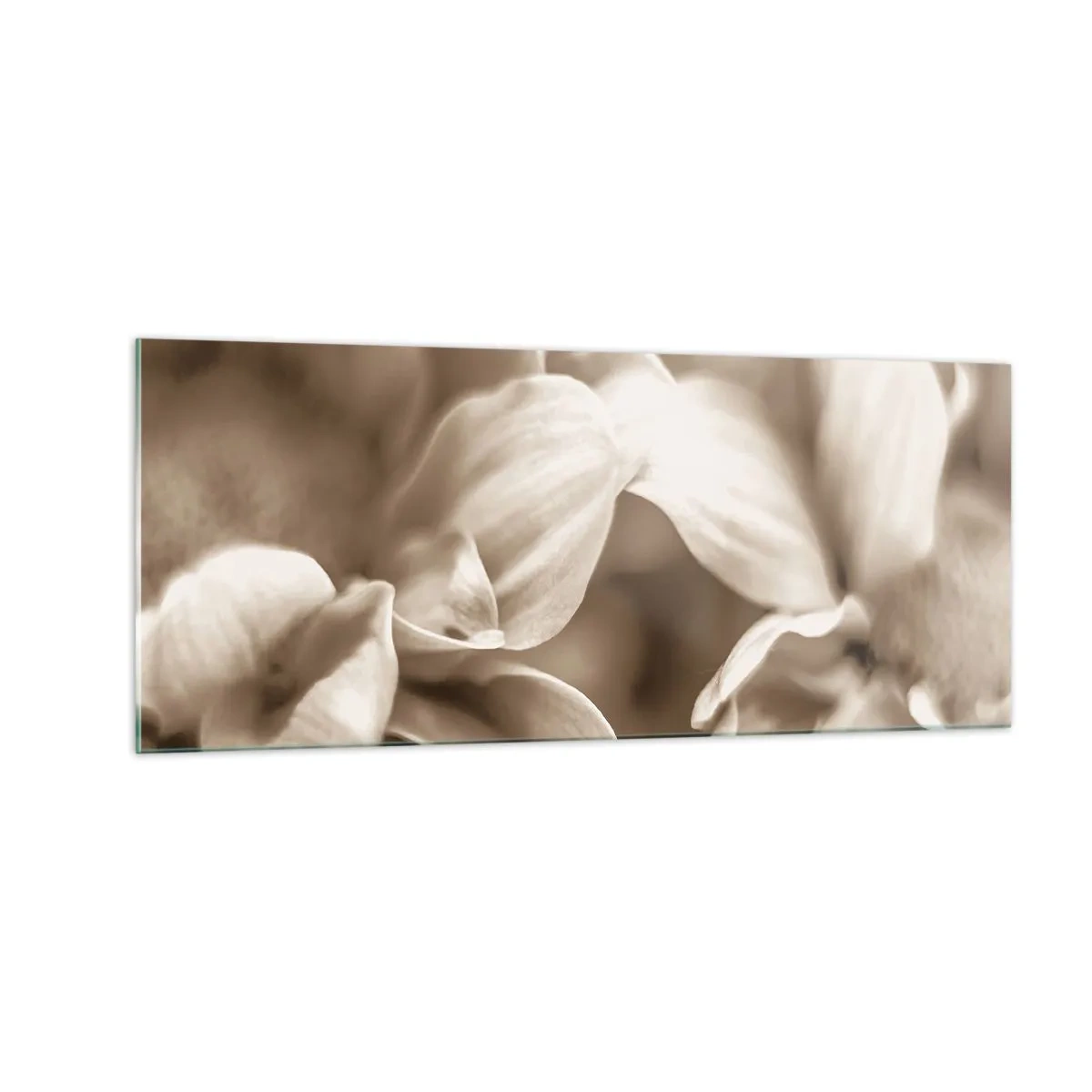 Glasbild - Bild auf glas - So sanft wie ein Lächeln - 100x40 cm