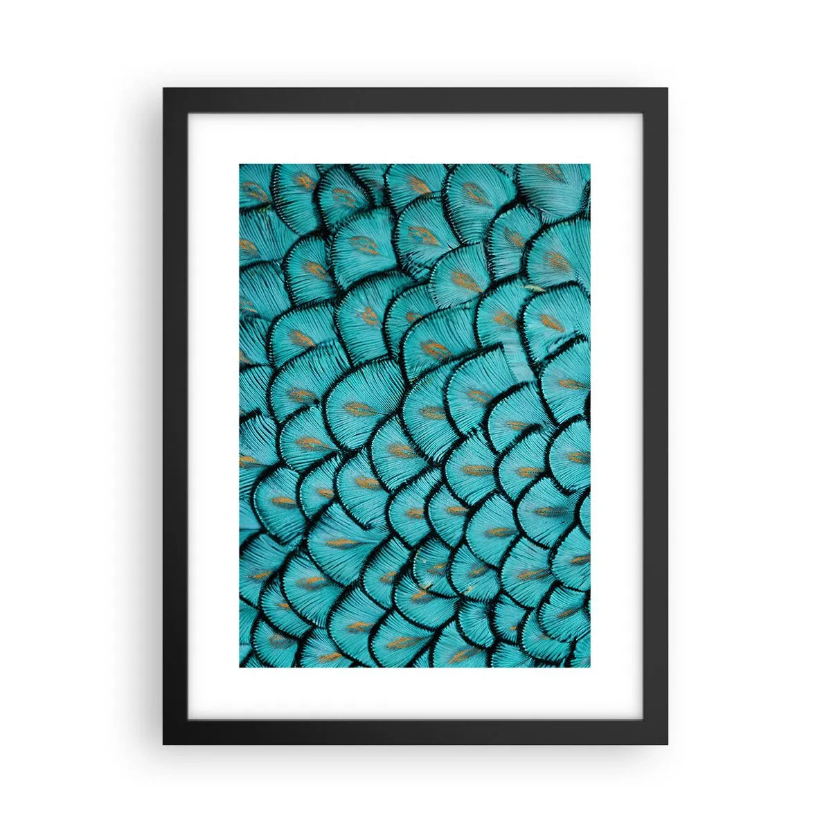 Poster in einem schwarzem Rahmen - Große Federgala - 30x40 cm