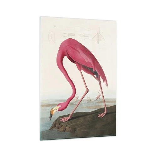 Glasbild - Bild auf glas - Erstaunliche Kreation - 80x120 cm