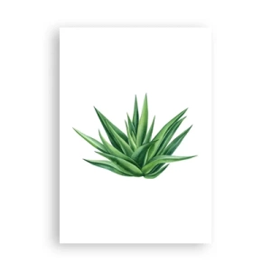 Poster - Grün – Kraft – Leben - 70x100 cm