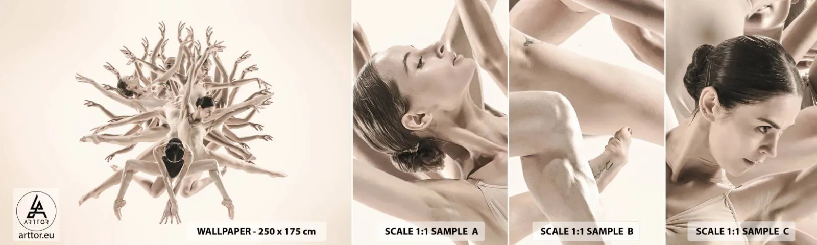 Fototapetenmuster Standard Eco - Aufblühen im Tanz - Abstraktion, Stück, Ballett - 100x30 cm