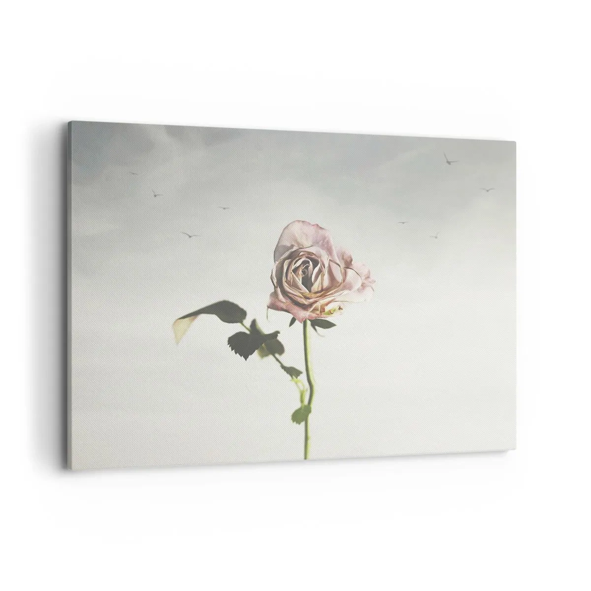 Bild auf Leinwand - Leinwandbild - Eine zarte Rose vor einem hellen Himmel mit fliegenden Vögeln - 100x70cm - Begrüßung des Frühlings - Moderne Wanddekoration für Wohnzimmer und Schlafzimmer ARTTOR