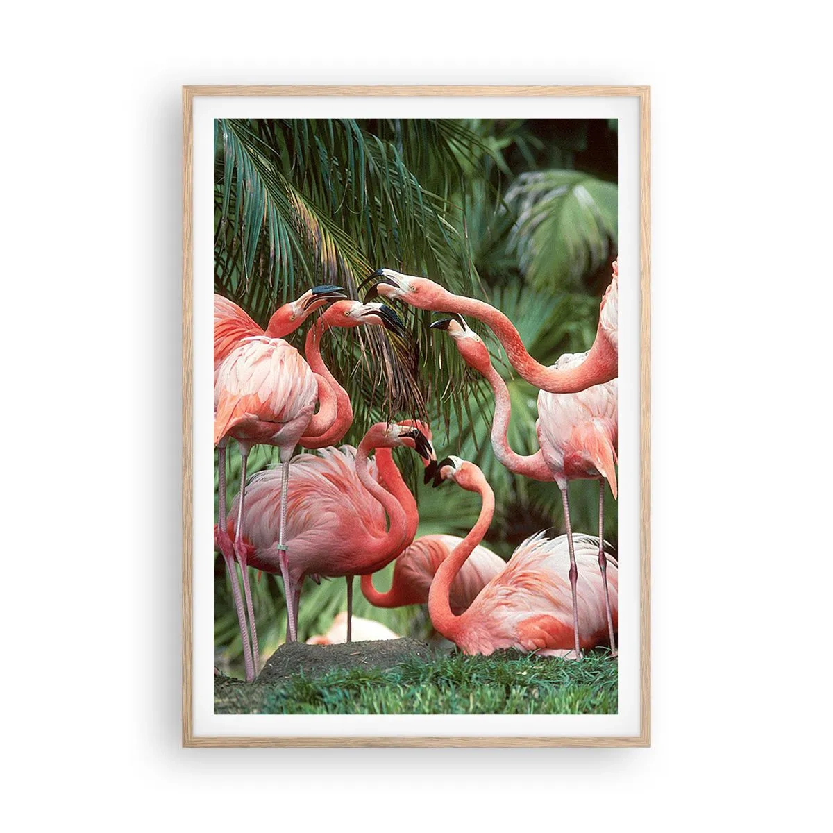 Poster in einem Rahmen aus heller Eiche - Nachmittagsklatsch - 70x100 cm
