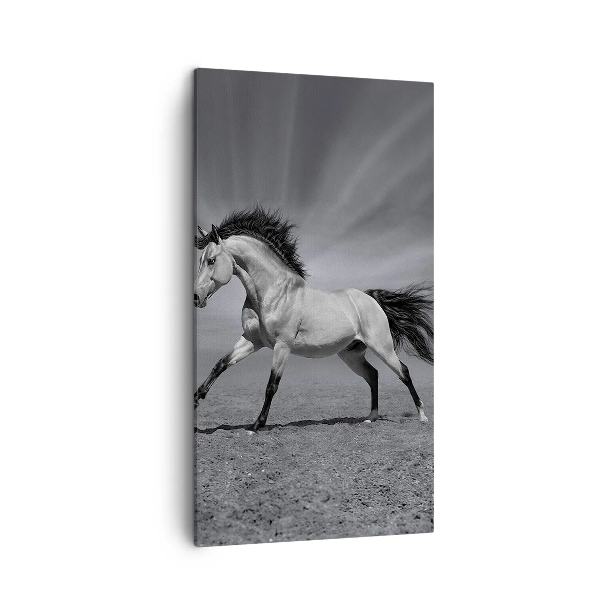 Bild auf Leinwand - Leinwandbild - Geboren um Freude zu bereiten - 45x80 cm