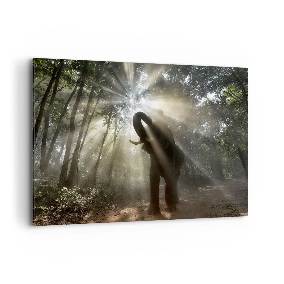 Bild auf Leinwand - Leinwandbild - Ein Elefant im Wald, umgeben von Lichtstrahlen im Morgennebel - 120x80cm - Unter dem Glücksstern - Moderne Wanddekoration für Wohnzimmer und Schlafzimmer ARTTOR