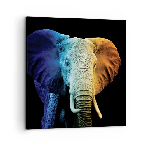 Bild auf Leinwand - Leinwandbild - Exzentrisch, kein Verrückter - 50x50 cm