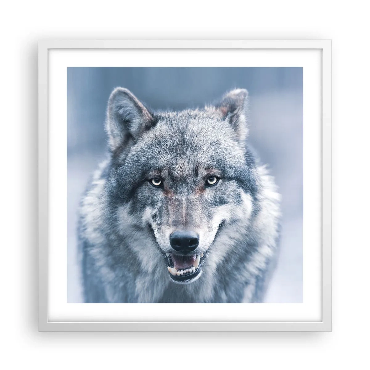 Poster in einem weißen Rahmen - Werden Sie die Herausforderung annehmen? - 50x50 cm