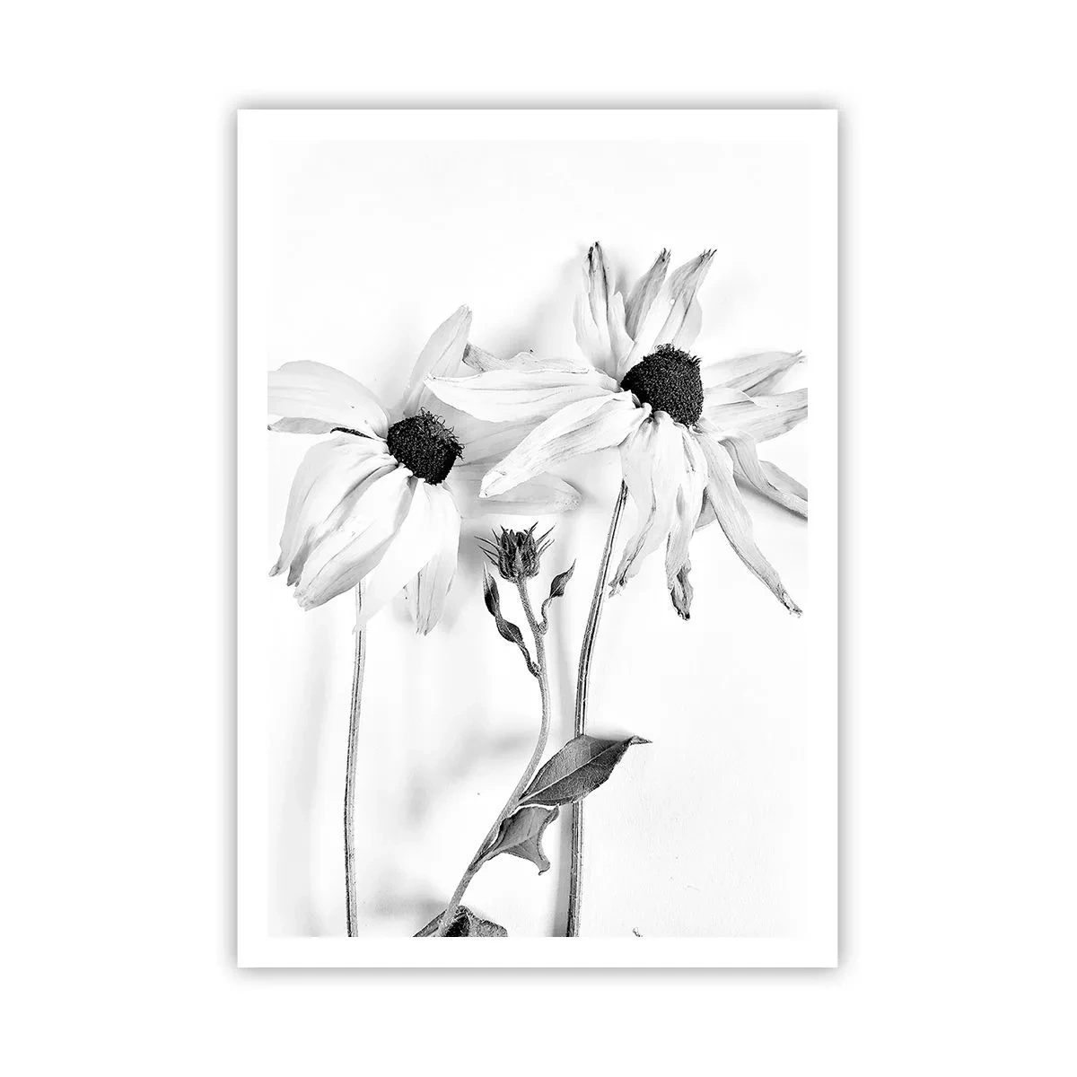 Poster - Niemand will allein sein - 70x100 cm