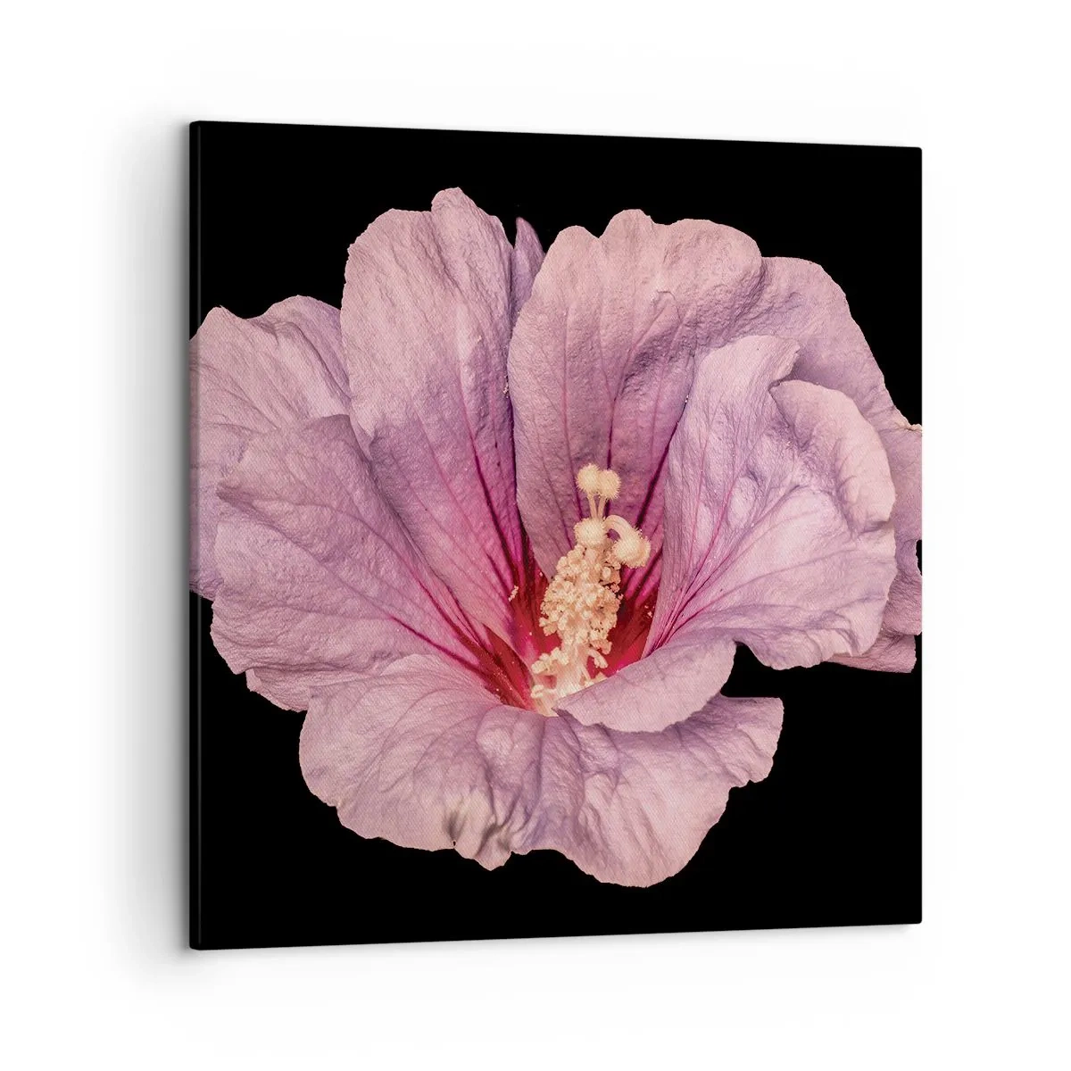 Bild auf Leinwand - Leinwandbild - Direkt ins Herz - 50x50 cm