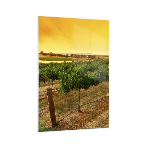 Glasbild - Bild auf glas - Weinreben auf einer Plantage bei einem goldenen Sonnenuntergang - 70x100cm - Holen Sie sich einen Drink von der Sonne - Moderne Wanddekoration für Wohnzimmer und Schlafzimmer ARTTOR