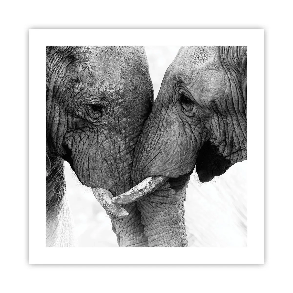 Poster - Herzliches Geständnis - 50x50 cm