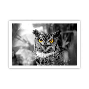 Poster - Nichts wird sich verstecken - 91x61 cm