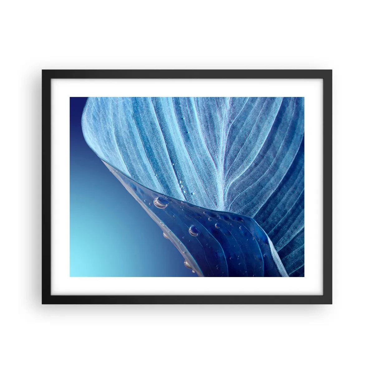 Poster in einem schwarzem Rahmen - Versteckte Tropfen vom Blau - 50x40 cm
