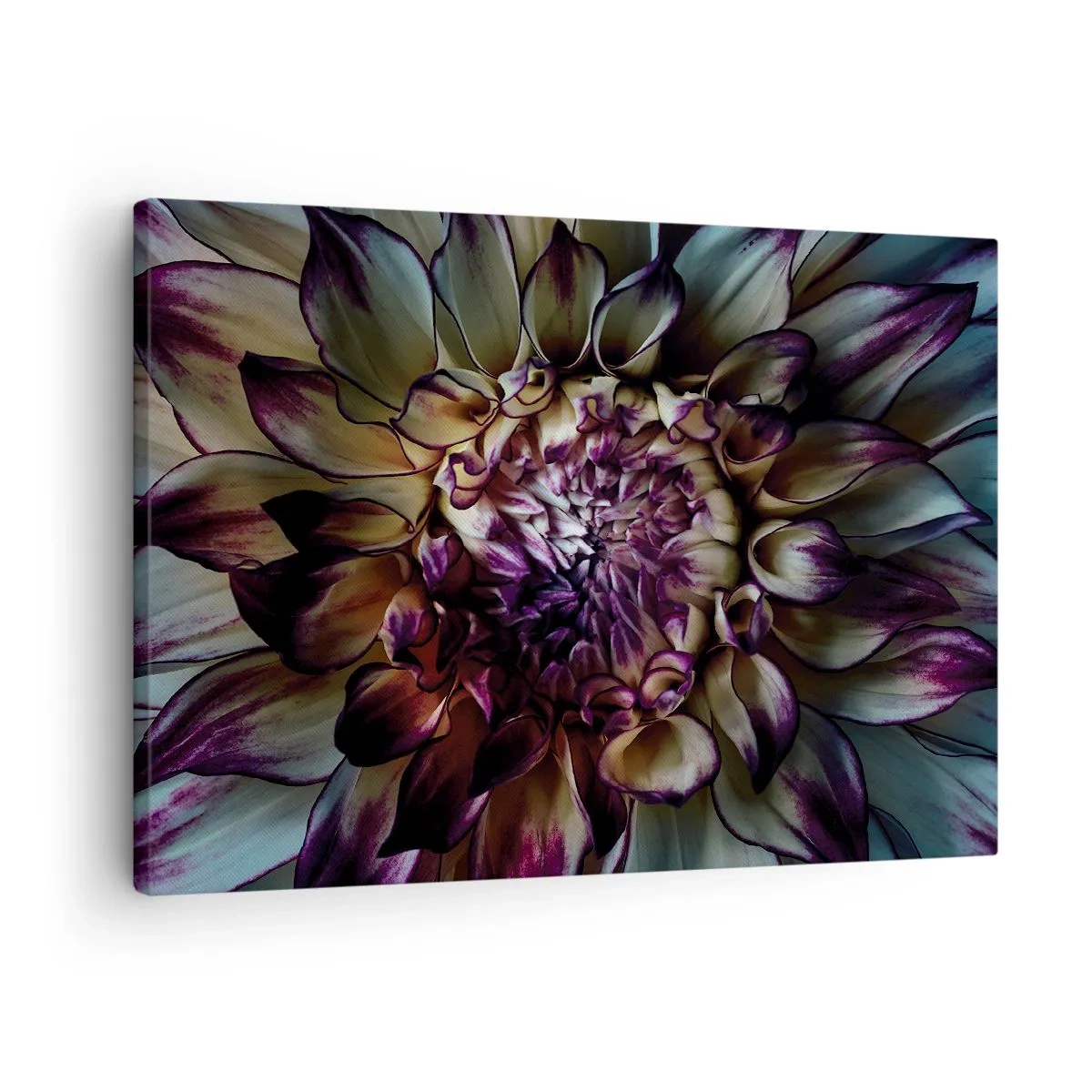 Bild auf Leinwand - Leinwandbild - Nahaufnahme einer Dahlienblüte in dunklen Tönen - 70x50cm - Die Blütezeit der Jugend - Moderne Wanddekoration für Wohnzimmer und Schlafzimmer ARTTOR