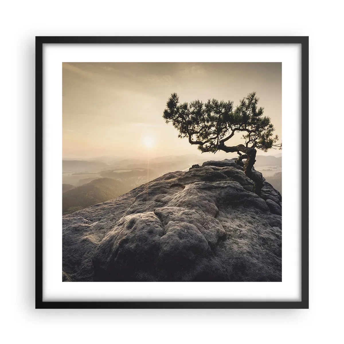 Poster in einem schwarzem Rahmen - Das Leben gewinnt immer - 50x50 cm