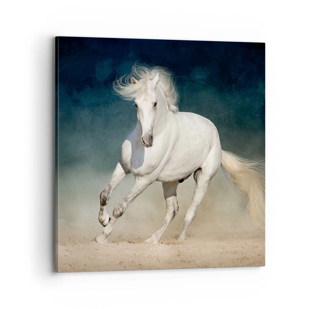 Bild auf Leinwand - Leinwandbild - Freiheit in ihrem reinen Zustand - 70x70 cm