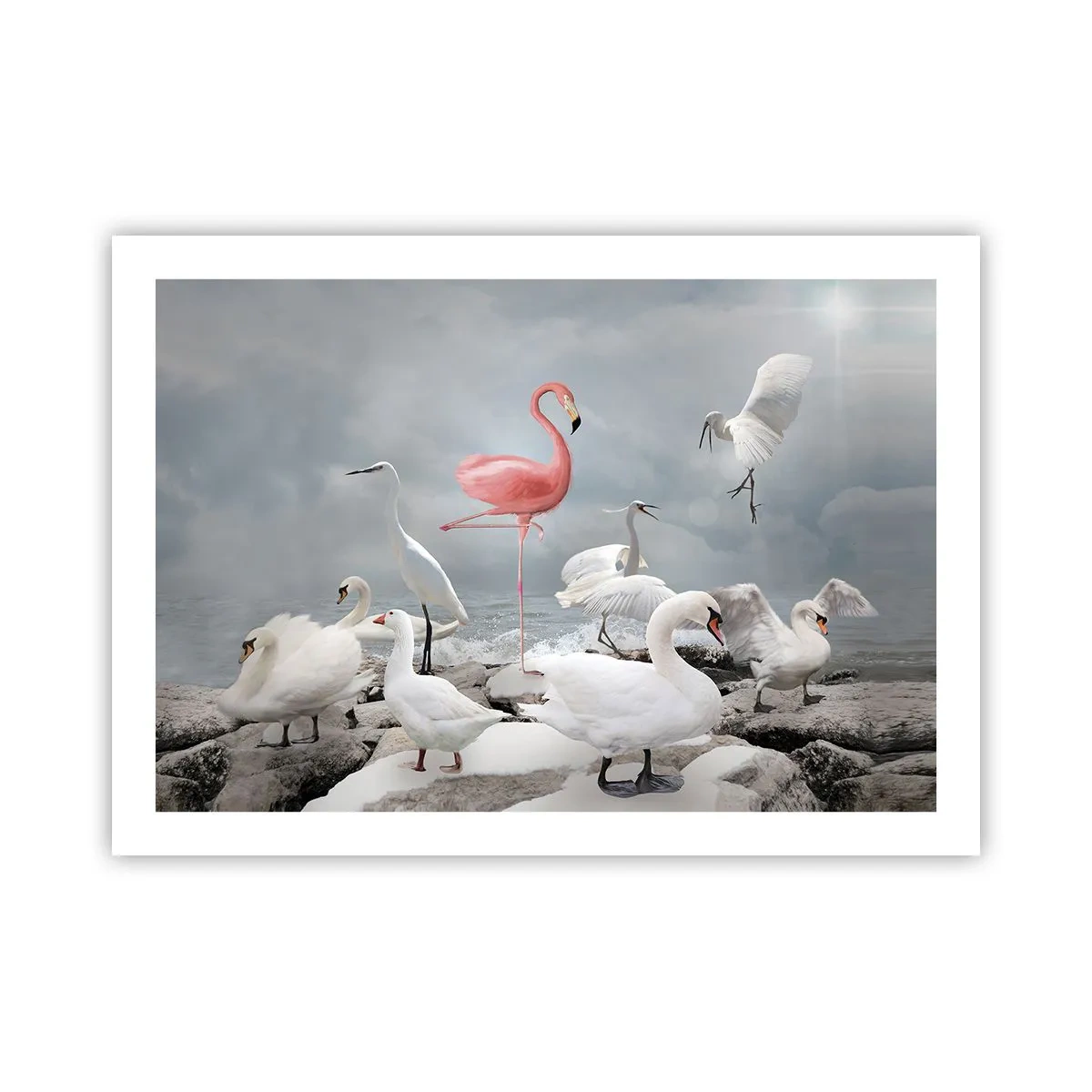 Poster - Wie kam ich hier hin? - 70x50 cm