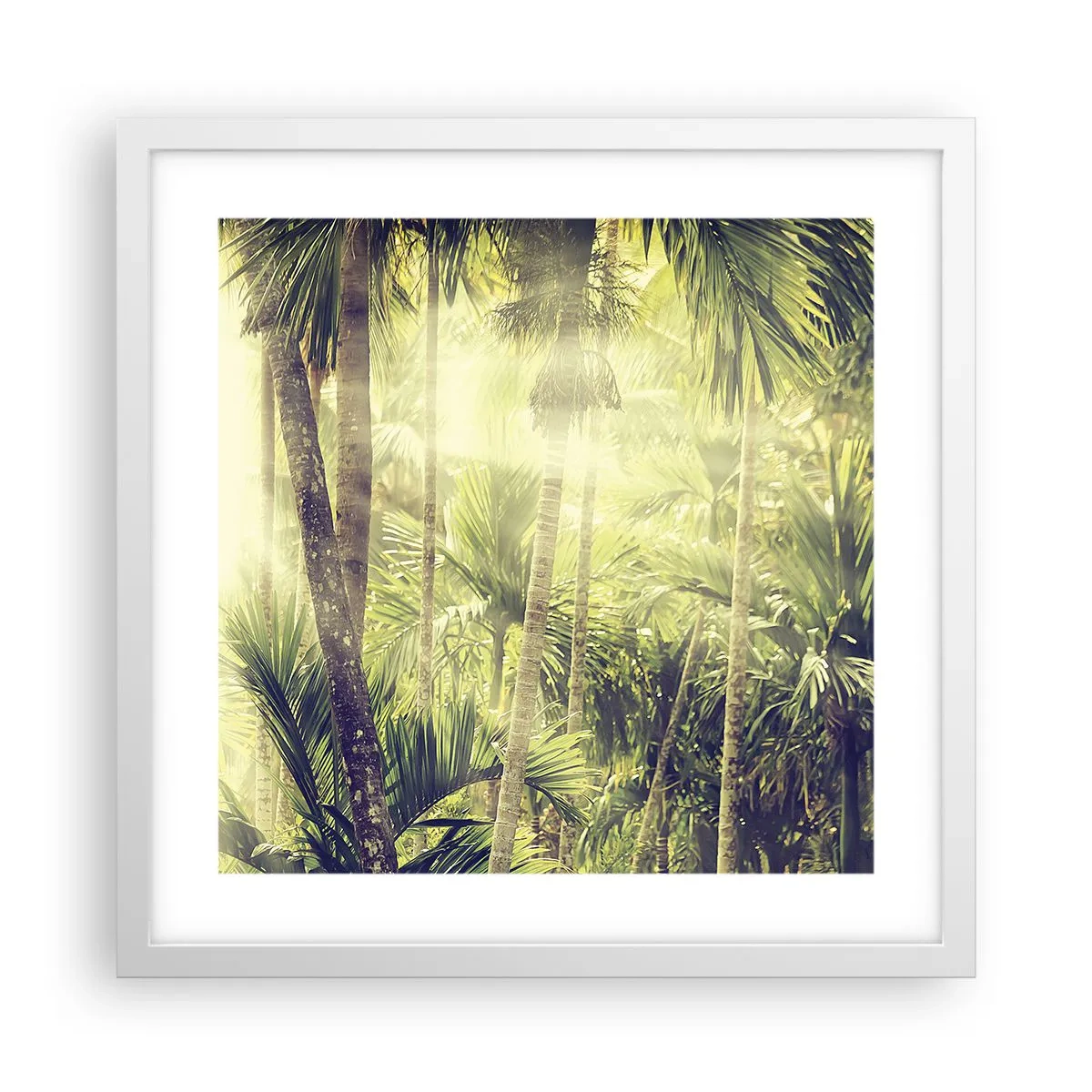 Poster in einem weißen Rahmen - In grüner Hitze - 40x40 cm