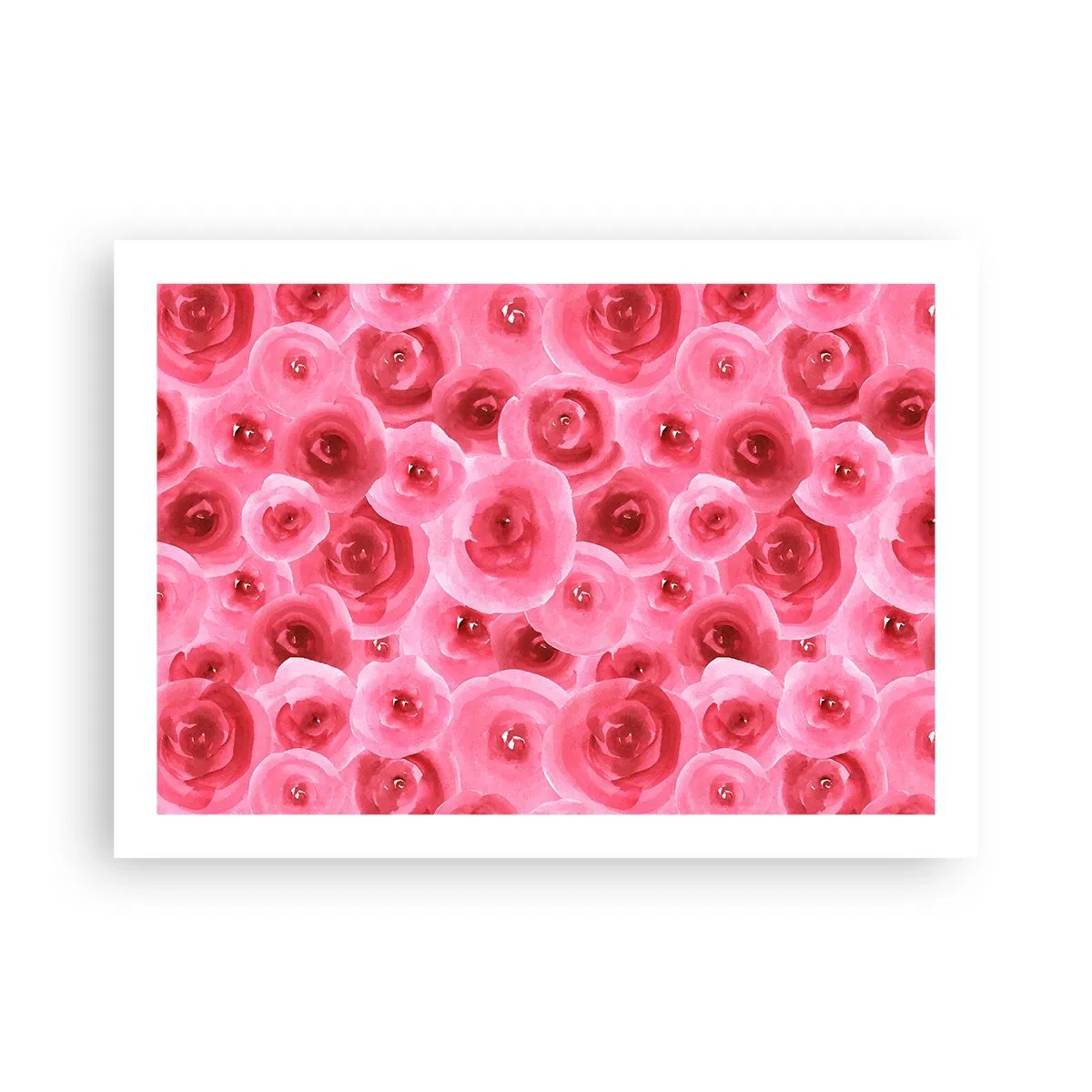 Poster - Oben und unten Rosen - 70x50 cm