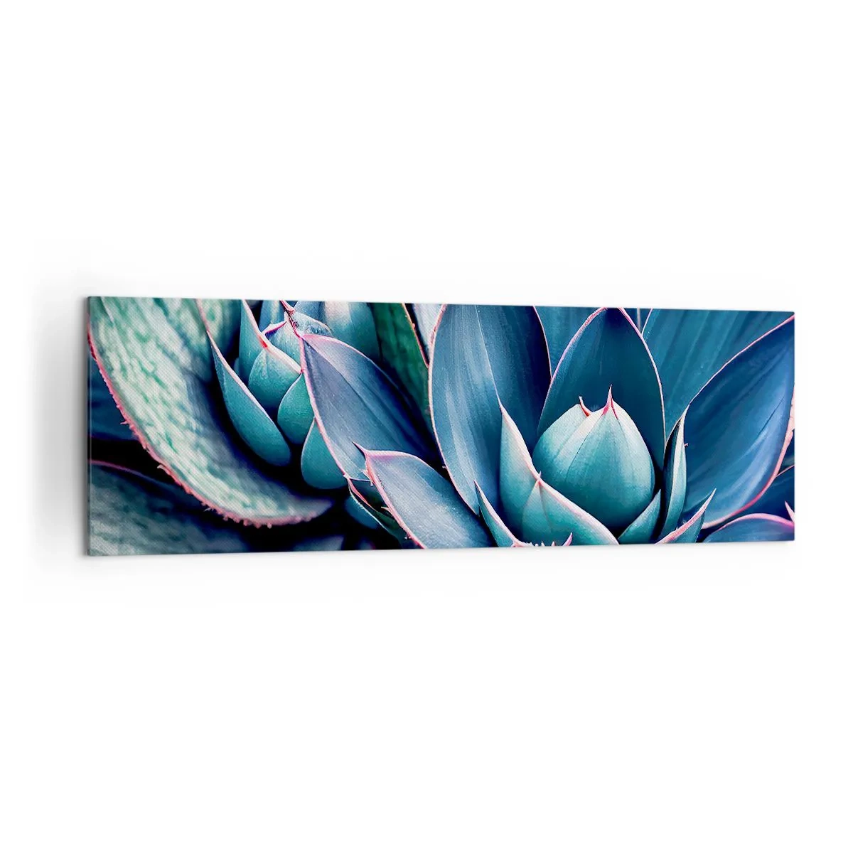 Bild auf Leinwand - Leinwandbild - Agave in Blau- und Grüntönen mit rosa Akzenten - 160x50cm - Lebenskraft - Moderne Wanddekoration für Wohnzimmer und Schlafzimmer ARTTOR