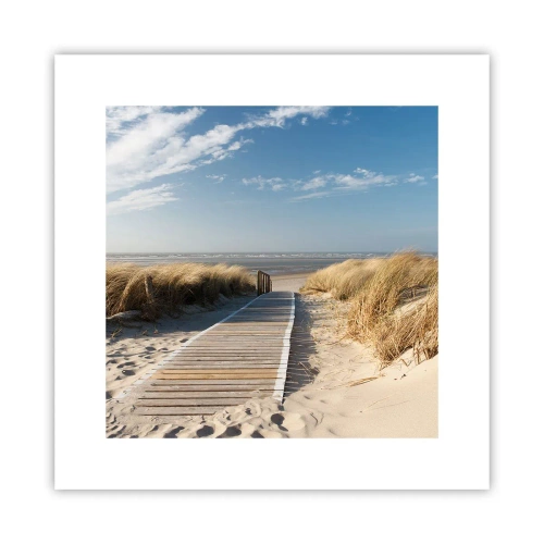 Poster - Hinter der Düne, im Rauschen des Grases - 30x30 cm