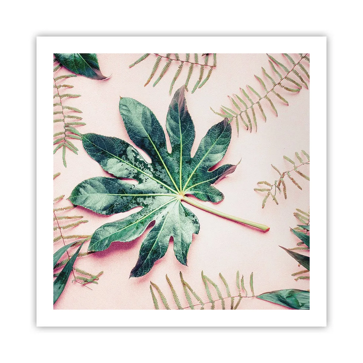 Poster - Eine Studie von Grün auf einem rosa Hintergrund - 60x60 cm