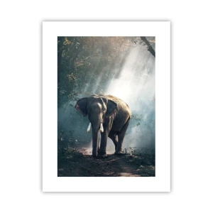 Poster - Ein gemütlicher Spaziergang - 30x40 cm