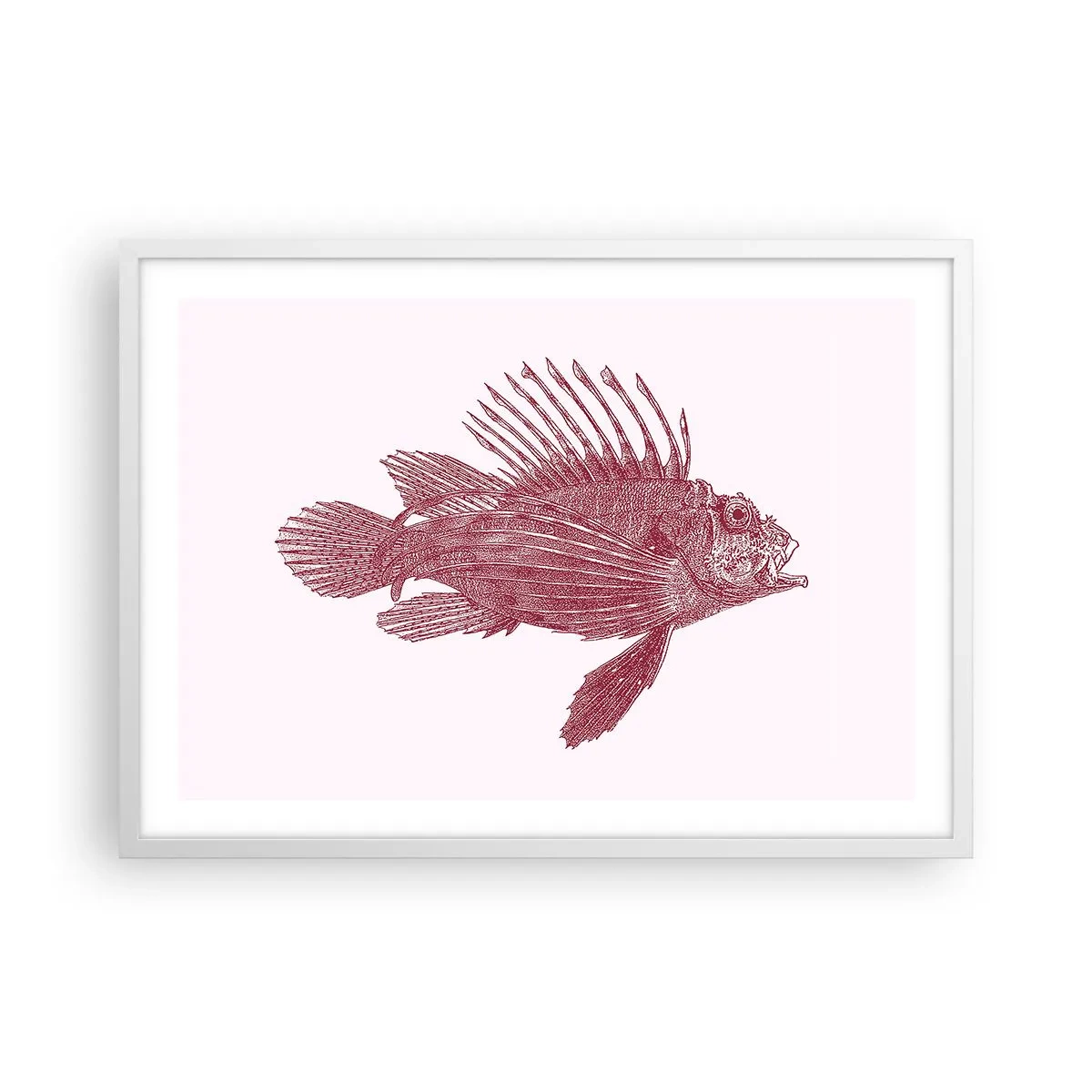 Poster in einem weißen Rahmen - Bewohner exotischer Gewässer - 70x50 cm