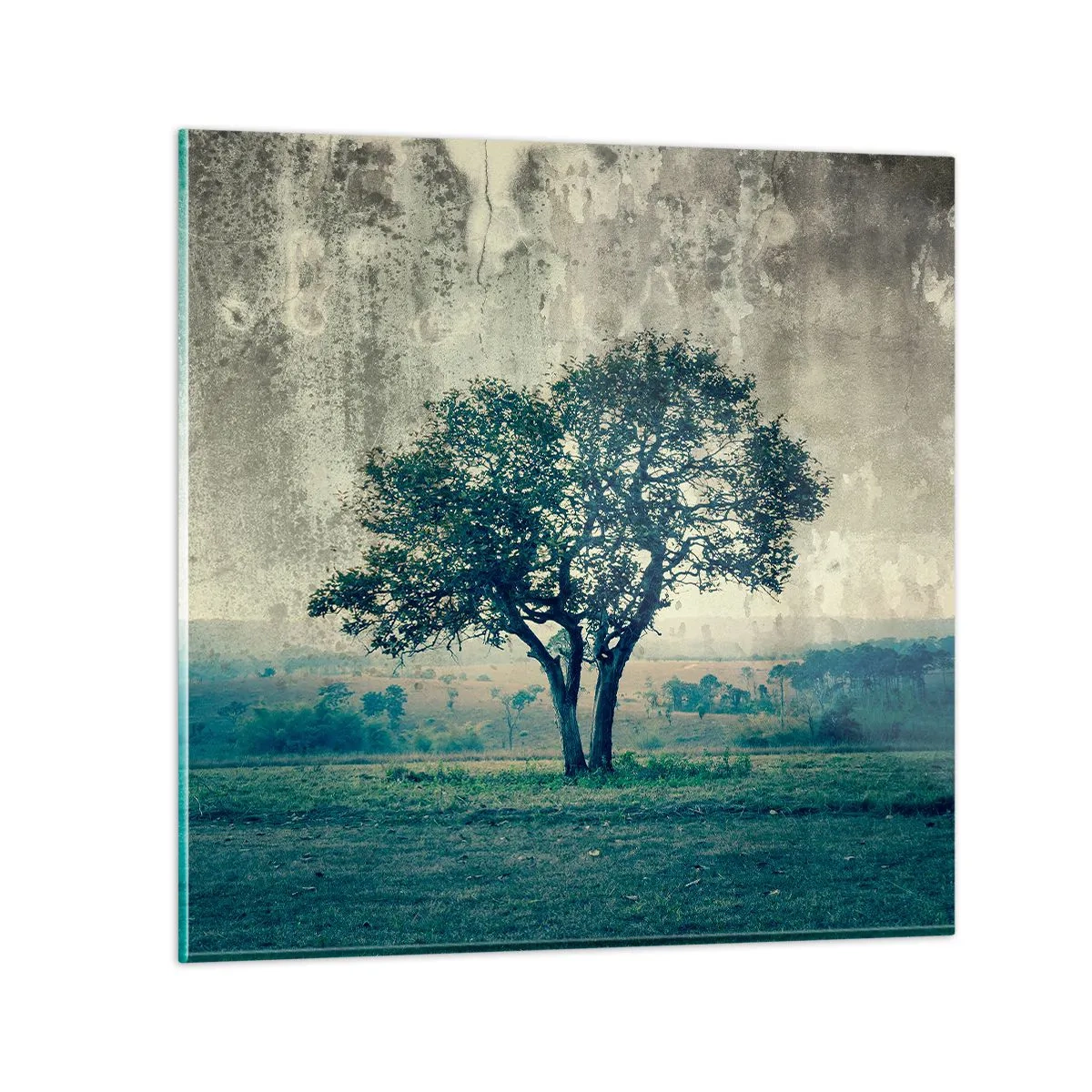 Glasbild - Bild auf glas - Ein Apfelbaum auf blauem Feld? - 60x60 cm