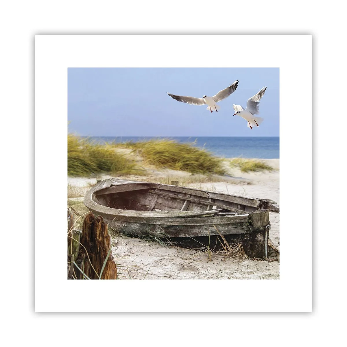 Poster - In Wind gebadet - 30x30 cm