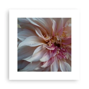 Poster - Blühende Frische - 30x30 cm