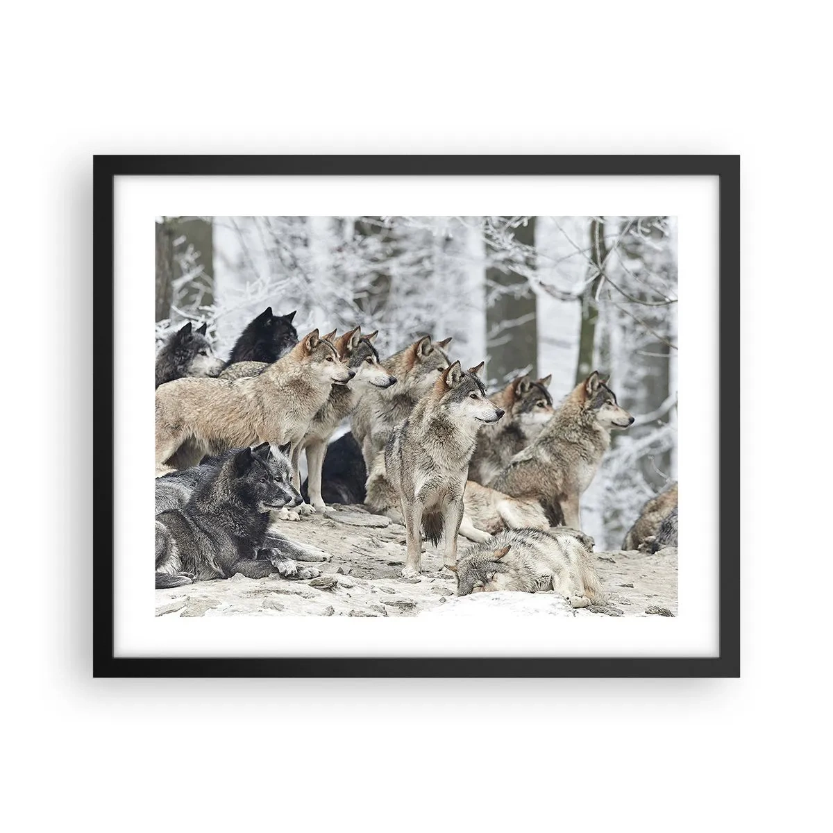 Poster in einem schwarzem Rahmen - Familie und Freunde - 50x40 cm