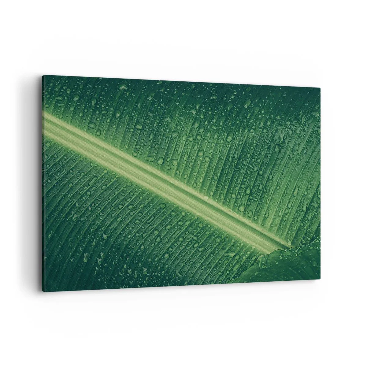 Bild auf Leinwand - Leinwandbild - Ein grünes Blatt mit Wassertropfen auf der Oberfläche - 100x70cm - Die Struktur des Grüns - Moderne Wanddekoration für Wohnzimmer und Schlafzimmer ARTTOR