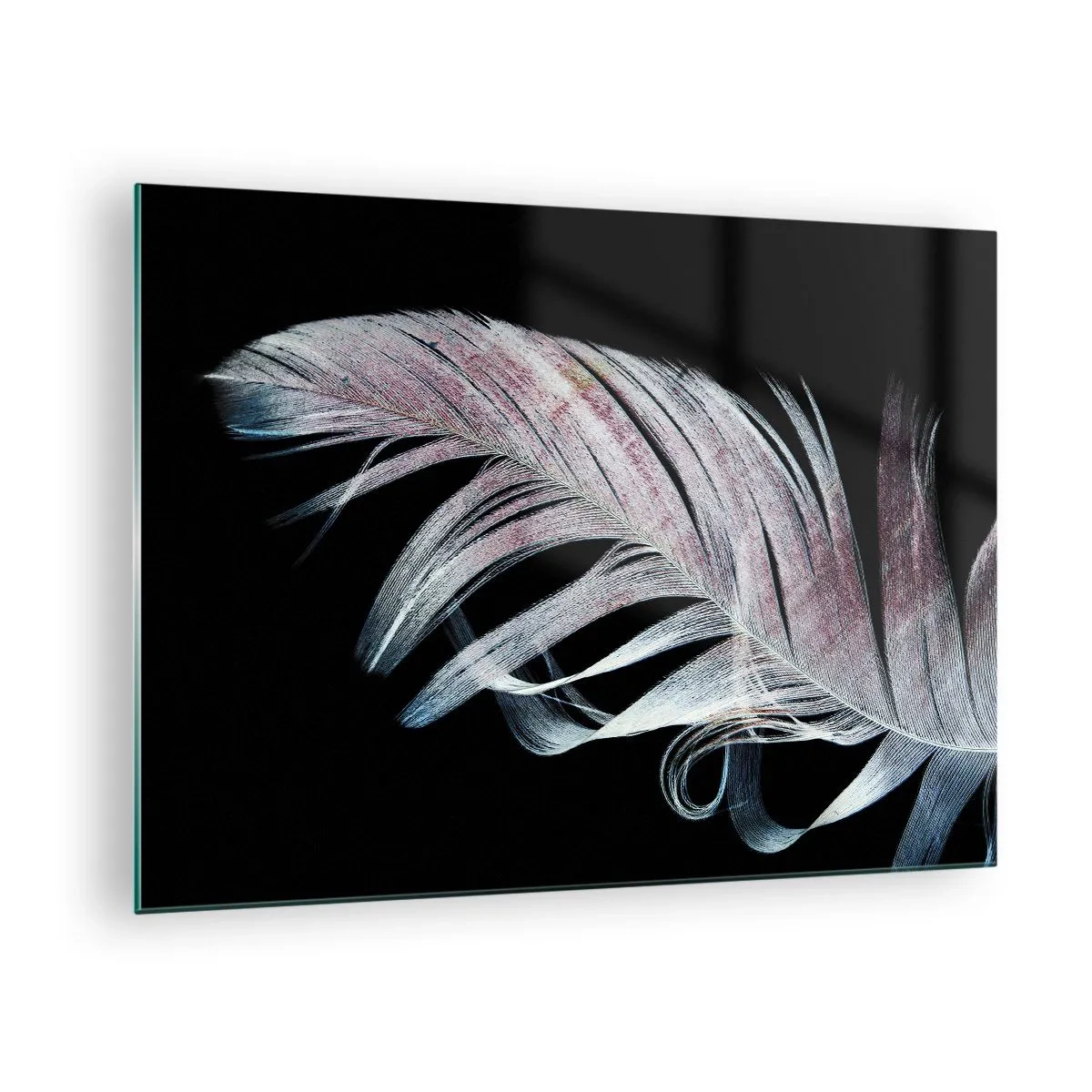 Glasbild - Bild auf glas - Eine zarte Feder auf schwarzem Hintergrund in einem künstlerischen Ansatz - 70x50cm - Denke an Berührung - Moderne Wanddekoration für Wohnzimmer und Schlafzimmer ARTTOR