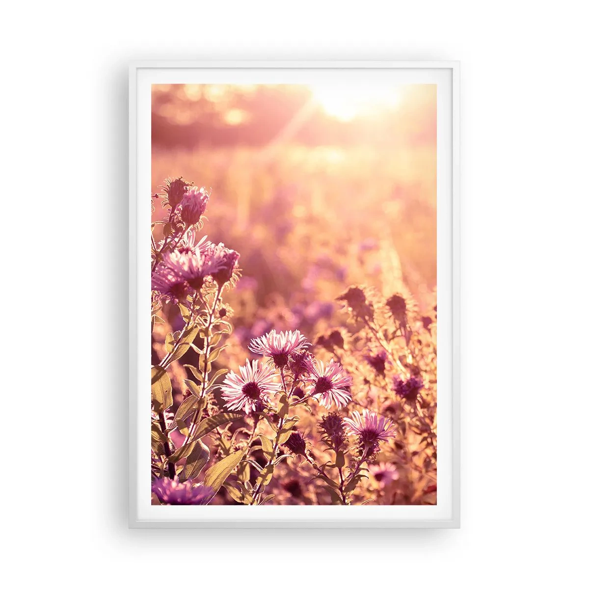 Poster in einem weißen Rahmen - Bevor der Sommer vorbei ist - 70x100 cm