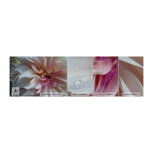 Fototapeten Muster Premium Canvas - Blühende Frische - Blume, Dahlie, Anlage - 100x30 cm