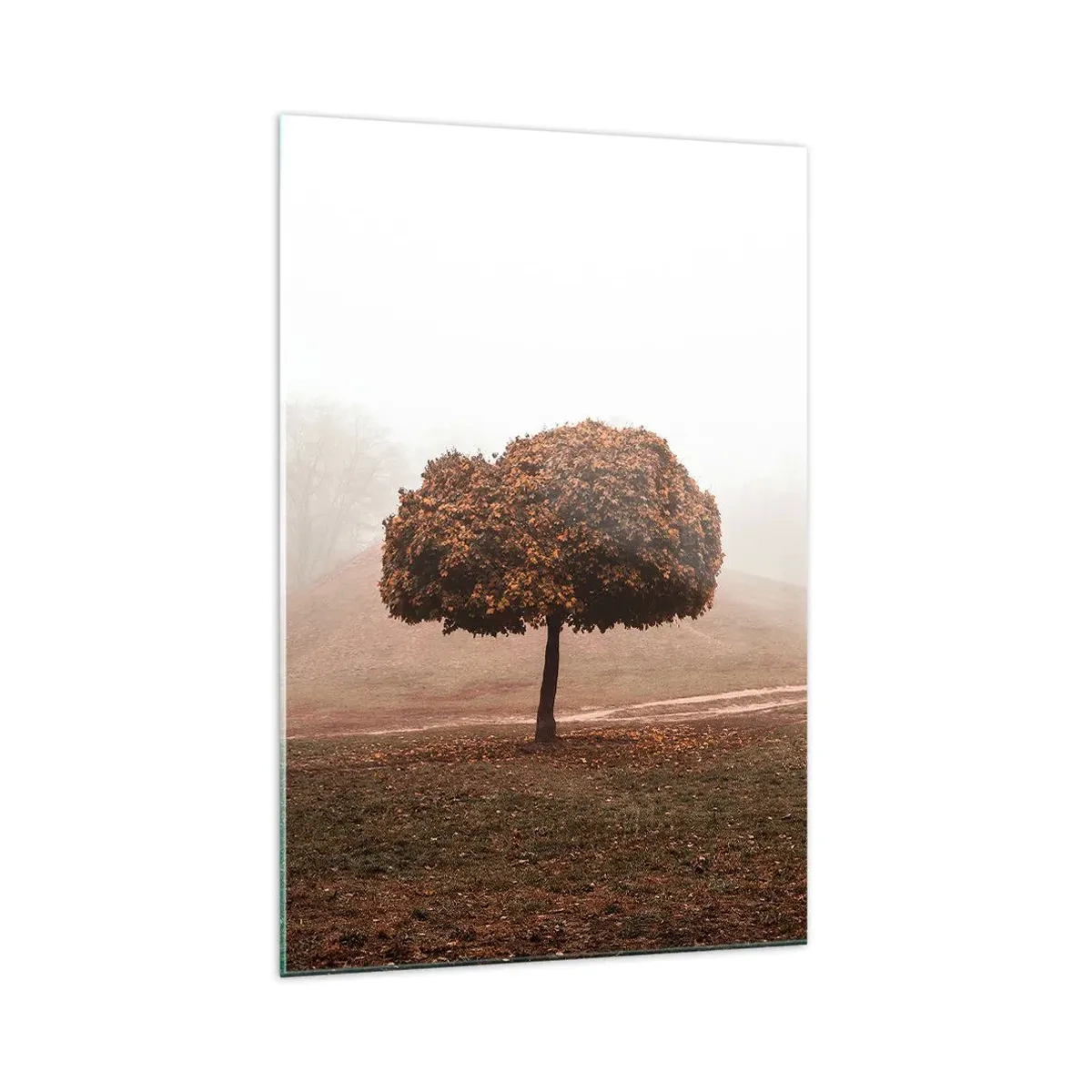 Glasbild - Bild auf glas - Nach einem anstrengenden Sommer - 70x100 cm